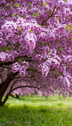 Similar image 22596599