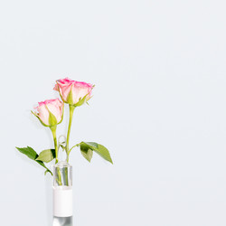 Similar image 22608717