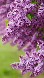 Similar image 22599578