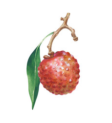 Similar image 22596960