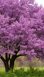 Similar image 22596002