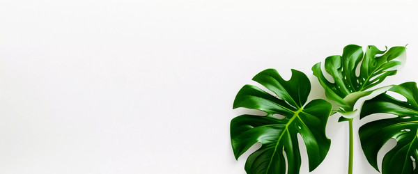 Similar image 22610933