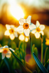 Similar image 22610993