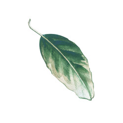 Similar image 22596938