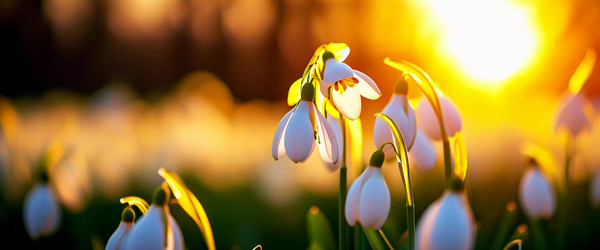 Similar image 22611250