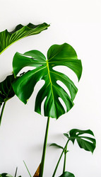 Similar image 22611277