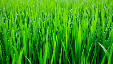 Similar image 22596560