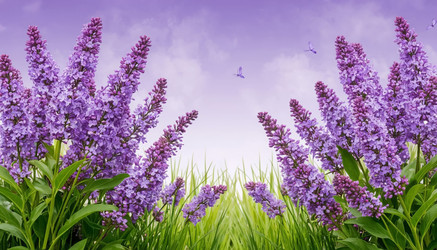 Similar image 22596573