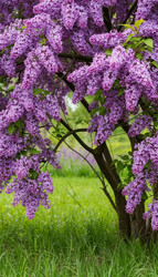 Similar image 22596586