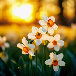 Similar image 22611427