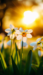 Similar image 22615423