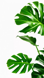 Similar image 22617243