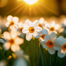 Similar image 22617245