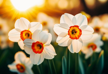 Similar image 22617257