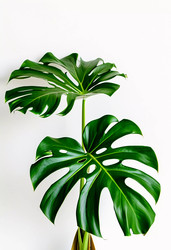 Similar image 22617286