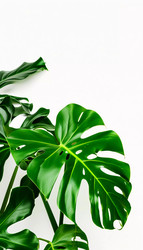 Similar image 22617287