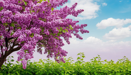 Similar image 22596035