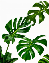 Similar image 22600334