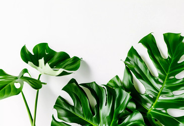 Similar image 22610979