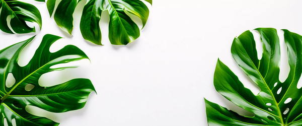 Similar image 22611038