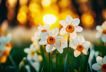 Similar image 22611039