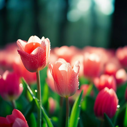 Similar image 22611052