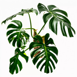 Similar image 22611099