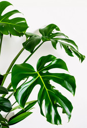 Similar image 22611174