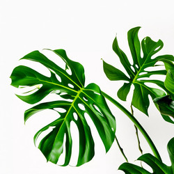 Similar image 22611204