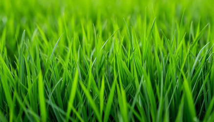 Similar image 22596620