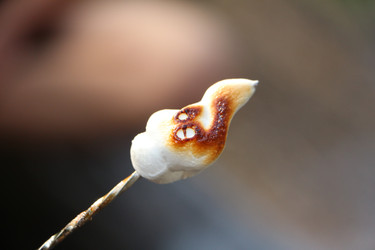 Similar image 22600192