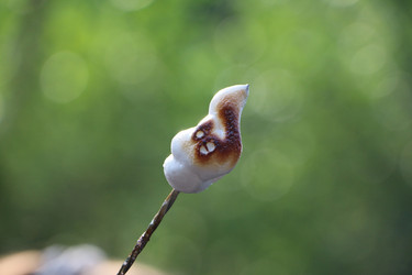 Similar image 22600193