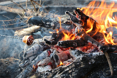 Similar image 22600207