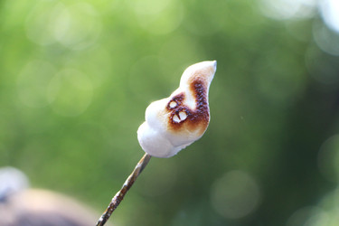 Similar image 22600208