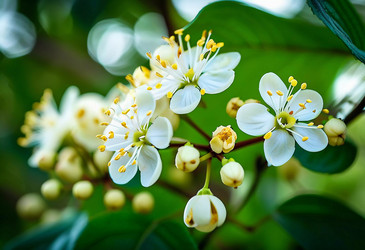 Similar image 22611176