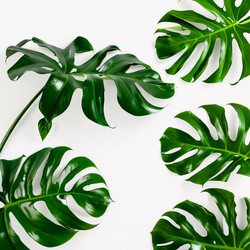 Similar image 22611383