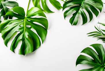 Similar image 22611429