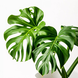 Similar image 22611442