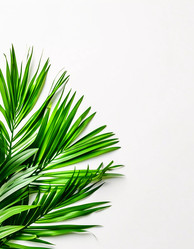 Similar image 22611458