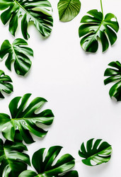 Similar image 22611472