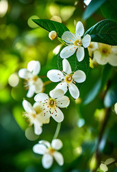 Similar image 22611533