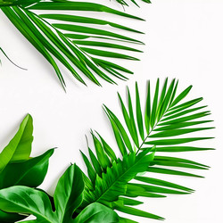 Similar image 22615170