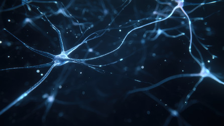 Similar image 22606807