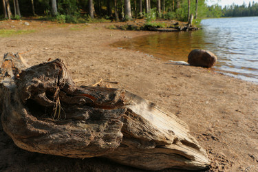 Similar image 22597035