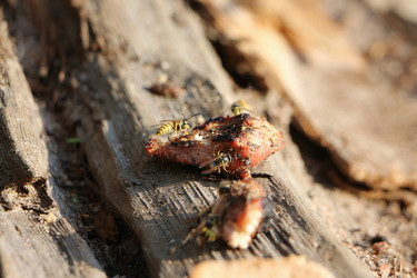 Similar image 22597036