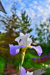 Similar image 22595132