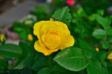 Similar image 22595147