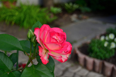 Similar image 22595151