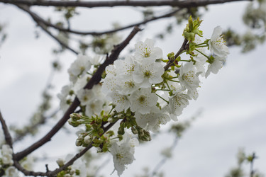 Similar image 22595074