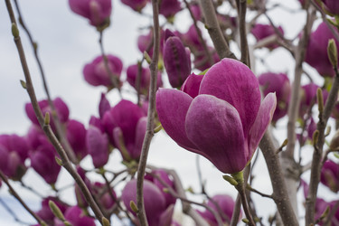 Similar image 22595076